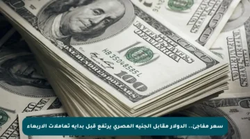سعر مفاجئ.. الدولار مقابل الجنيه المصري يرتفع قبل بداية تعاملات الأربعاء